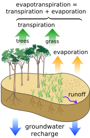 Illustration of some water balance components